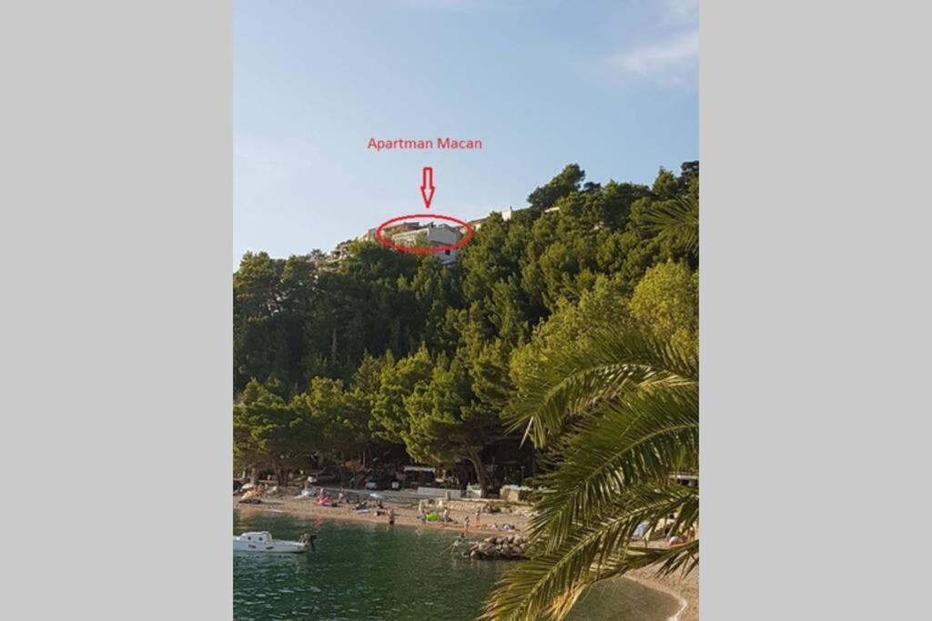 Apartman Macan Brela Exterior foto